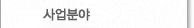 사업분야